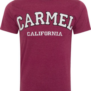 STYLE-TE CHENILLE EMBROIDERY